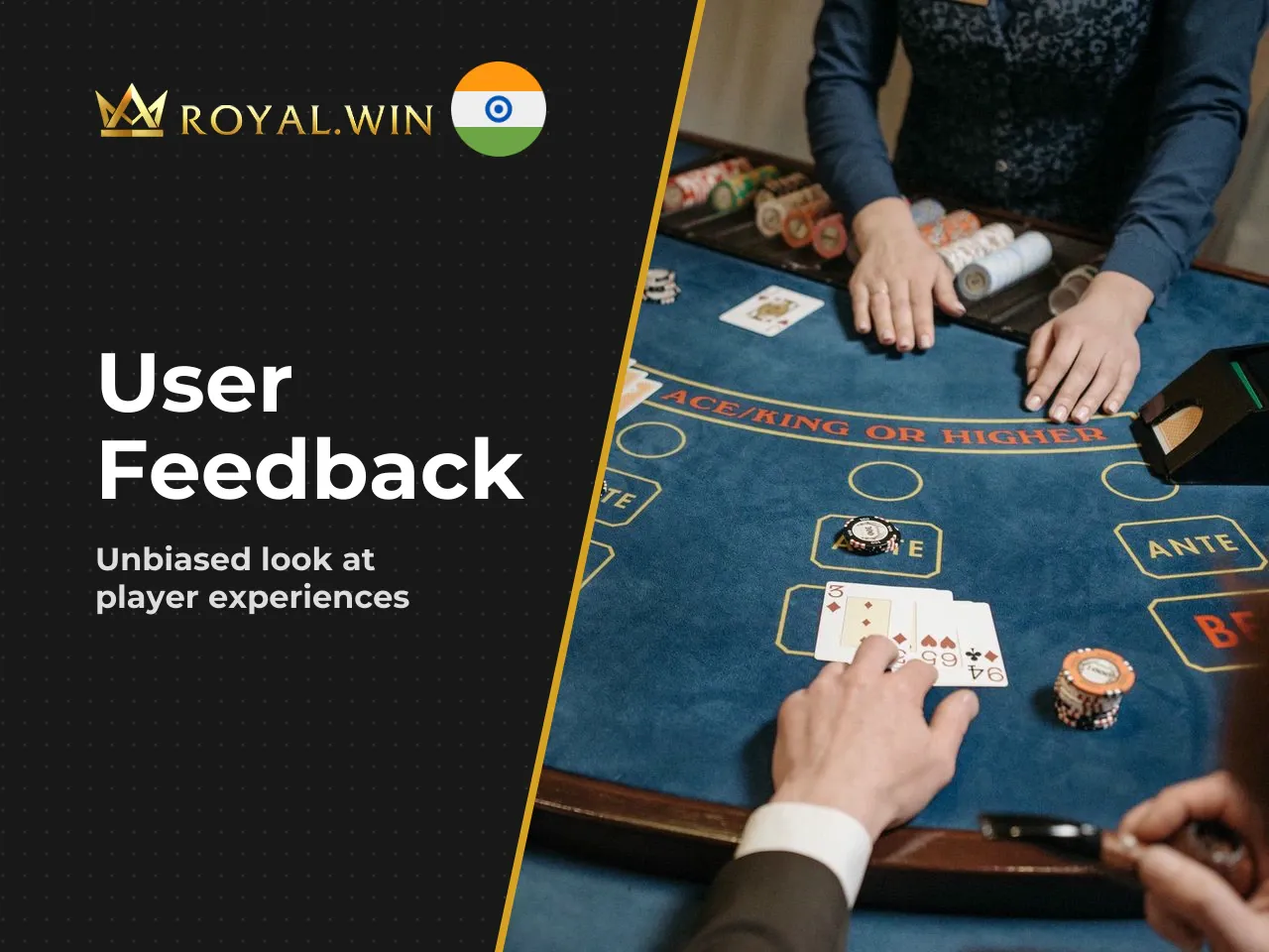Royal Win Reviews and Comments What
