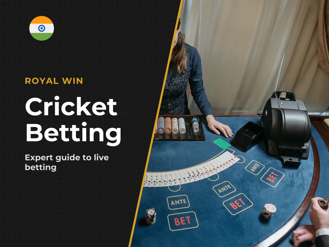 Search terms like royal win cricket often lead users to platforms that combine sports statistics with interactive gaming interfaces targeted at English-speaking users in India. The primary reason play